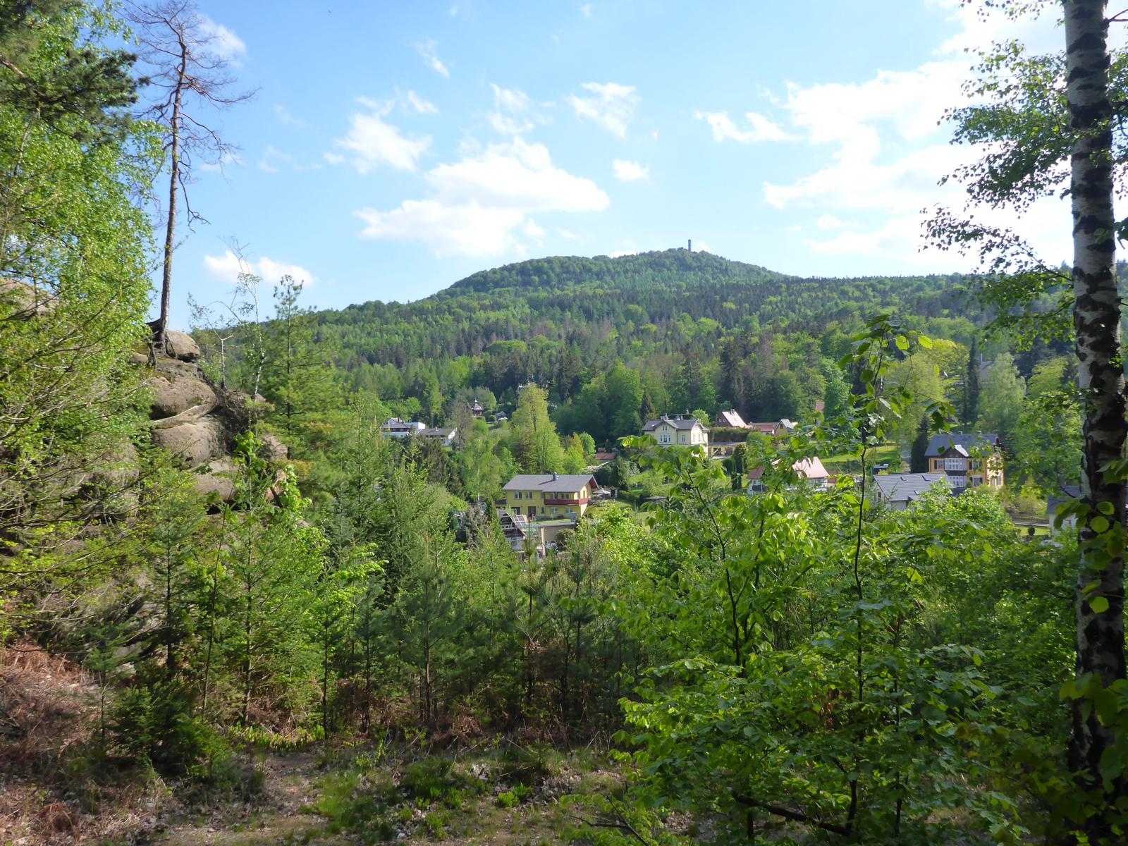 Hochwaldblick